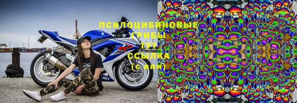 круглые Алексеевка