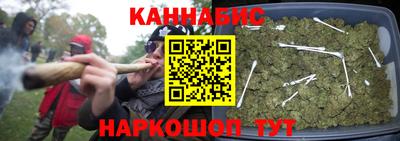прущие грибы Балашиха
